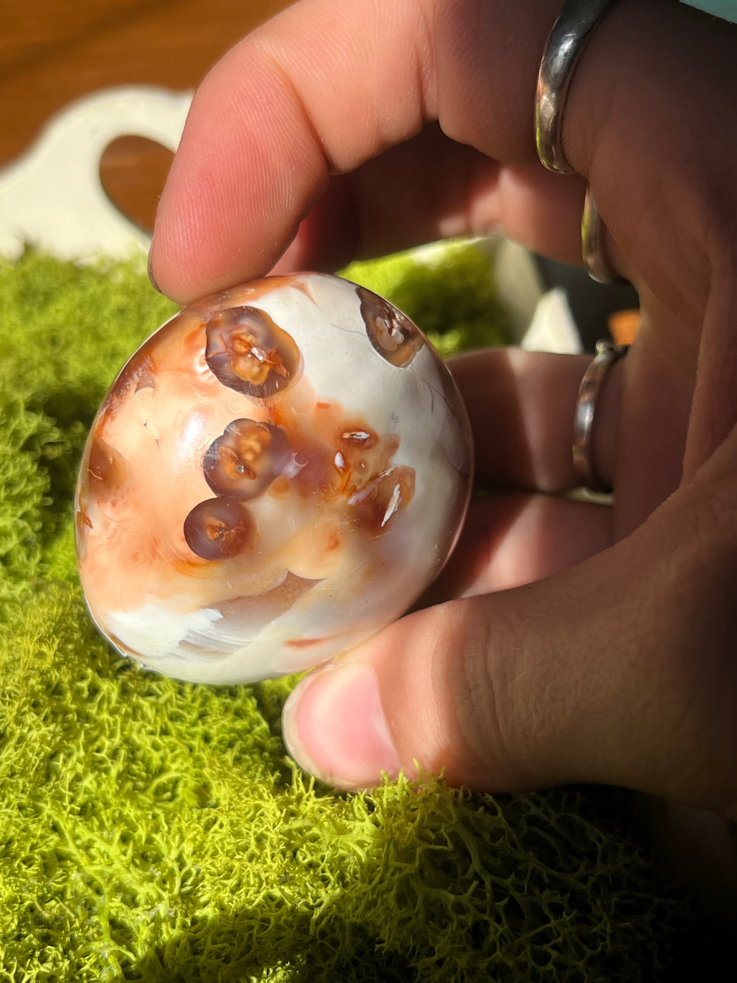 Carnelian Orca Agate Palmstone