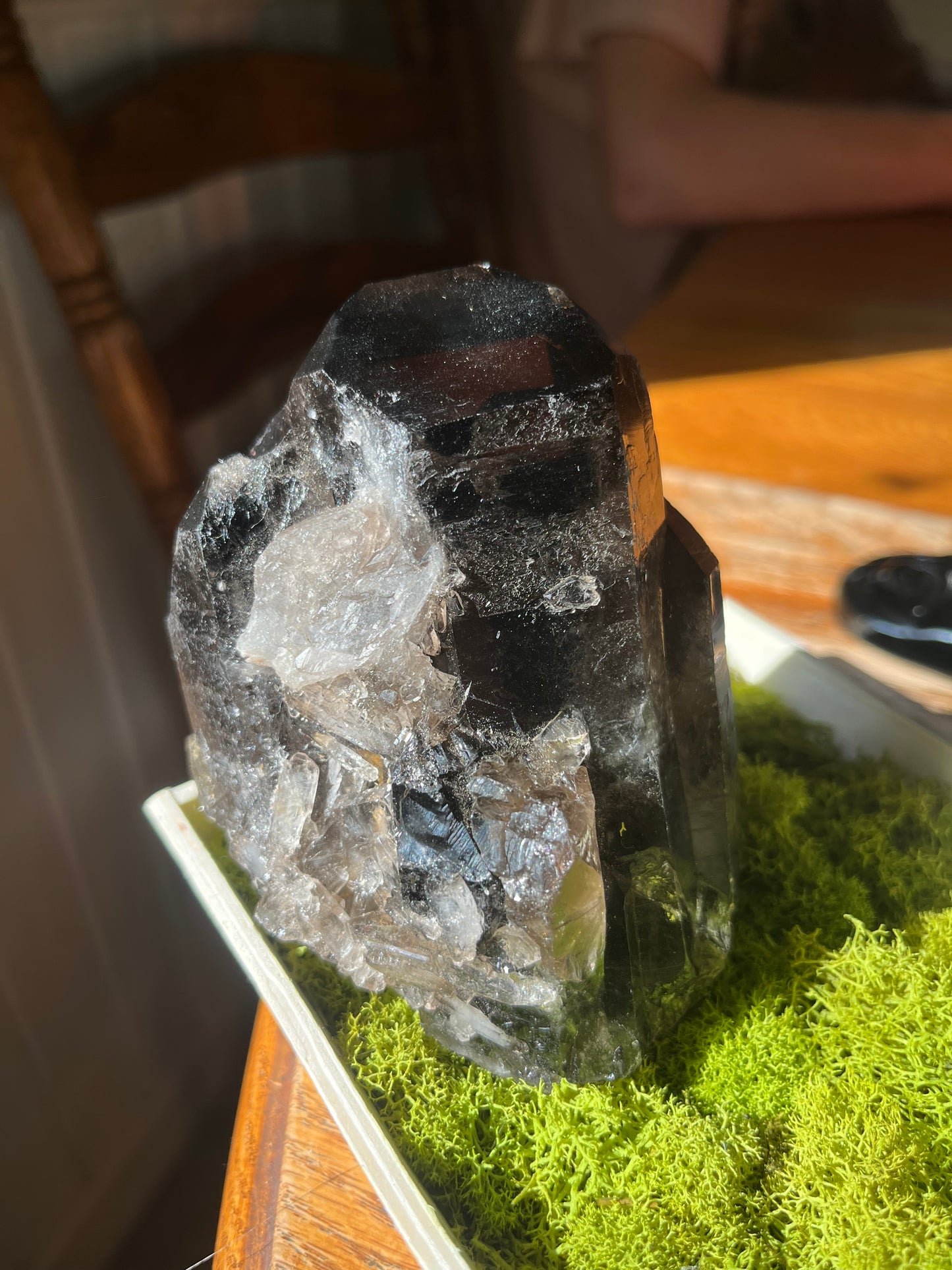 Chonky Raw Lemurian Smokey Quartz