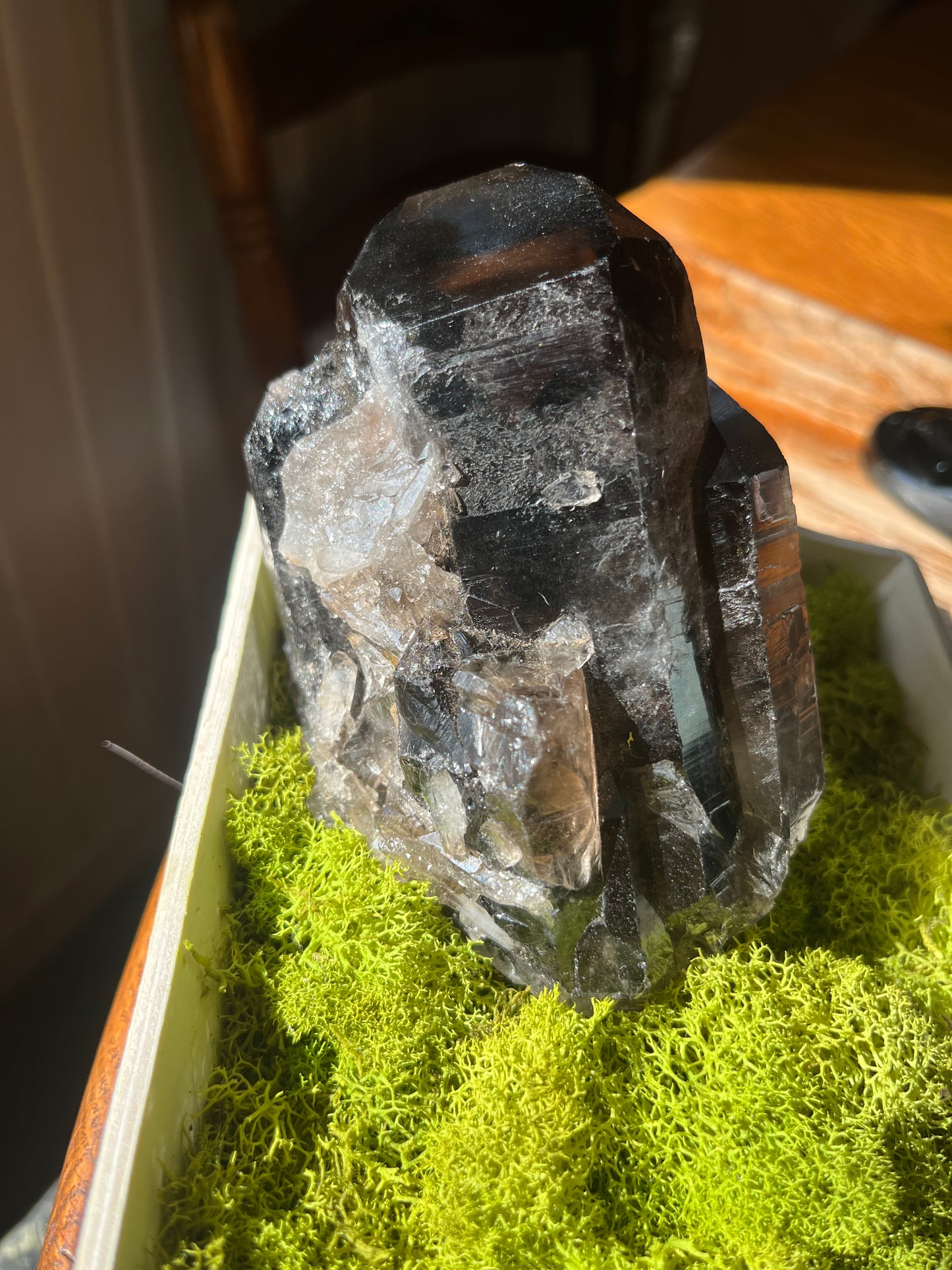Chonky Raw Lemurian Smokey Quartz