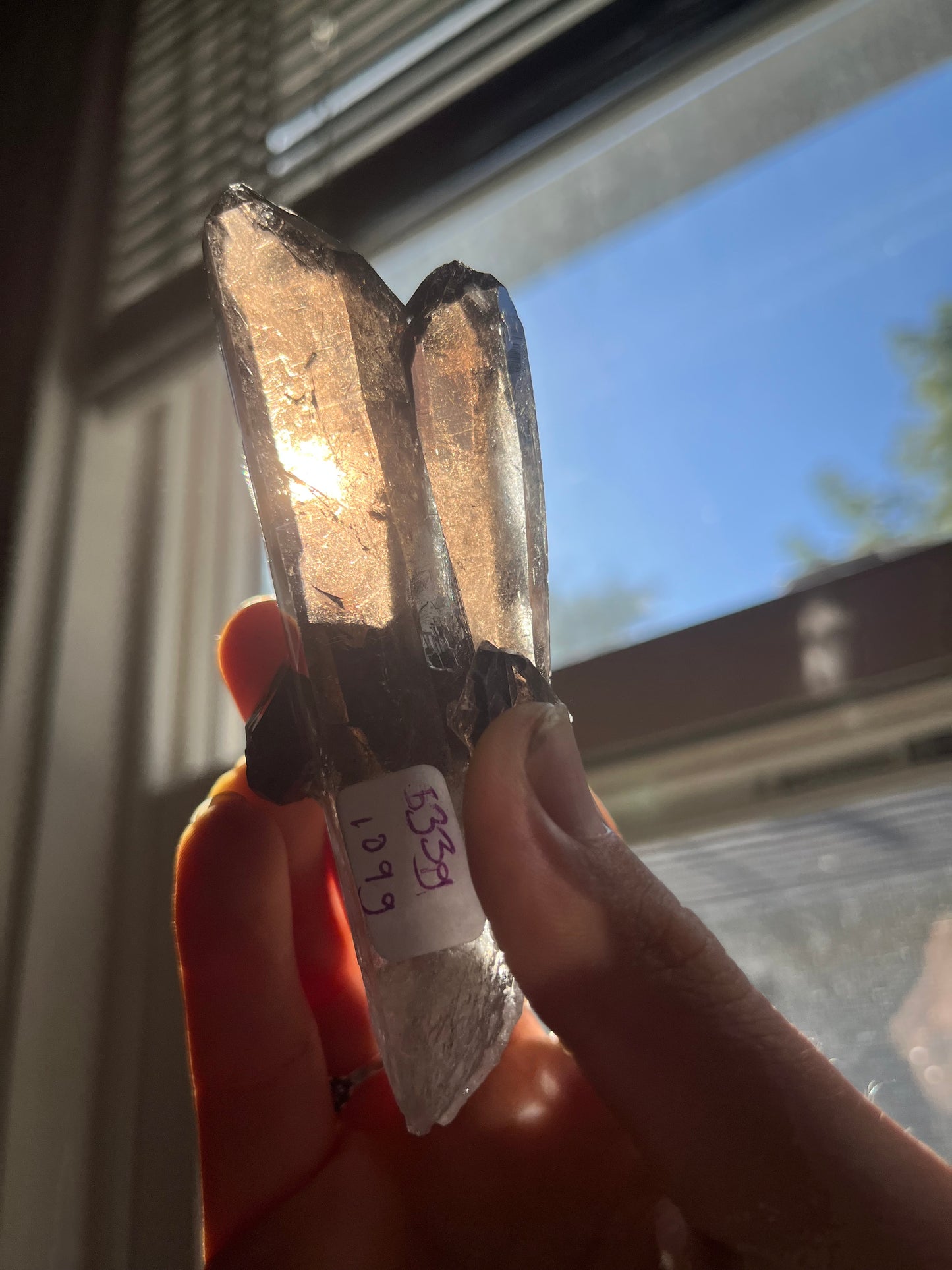 *High Quality* Smokey Lemurian Quartz from Brazil