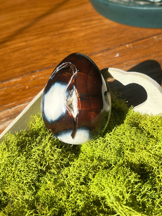 Carnelian and Orca Agate Egg