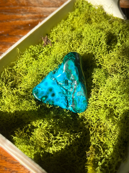 Polished Chrysycolla & Malachite from the DRC