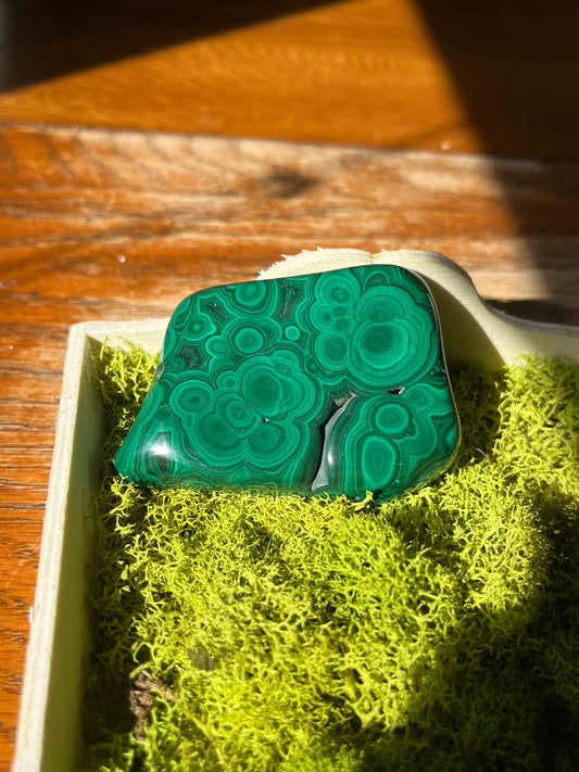 Polished Malachite from The DRC