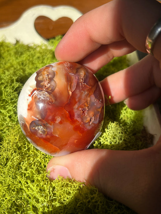 Carnelian Orca Agate Palmstone