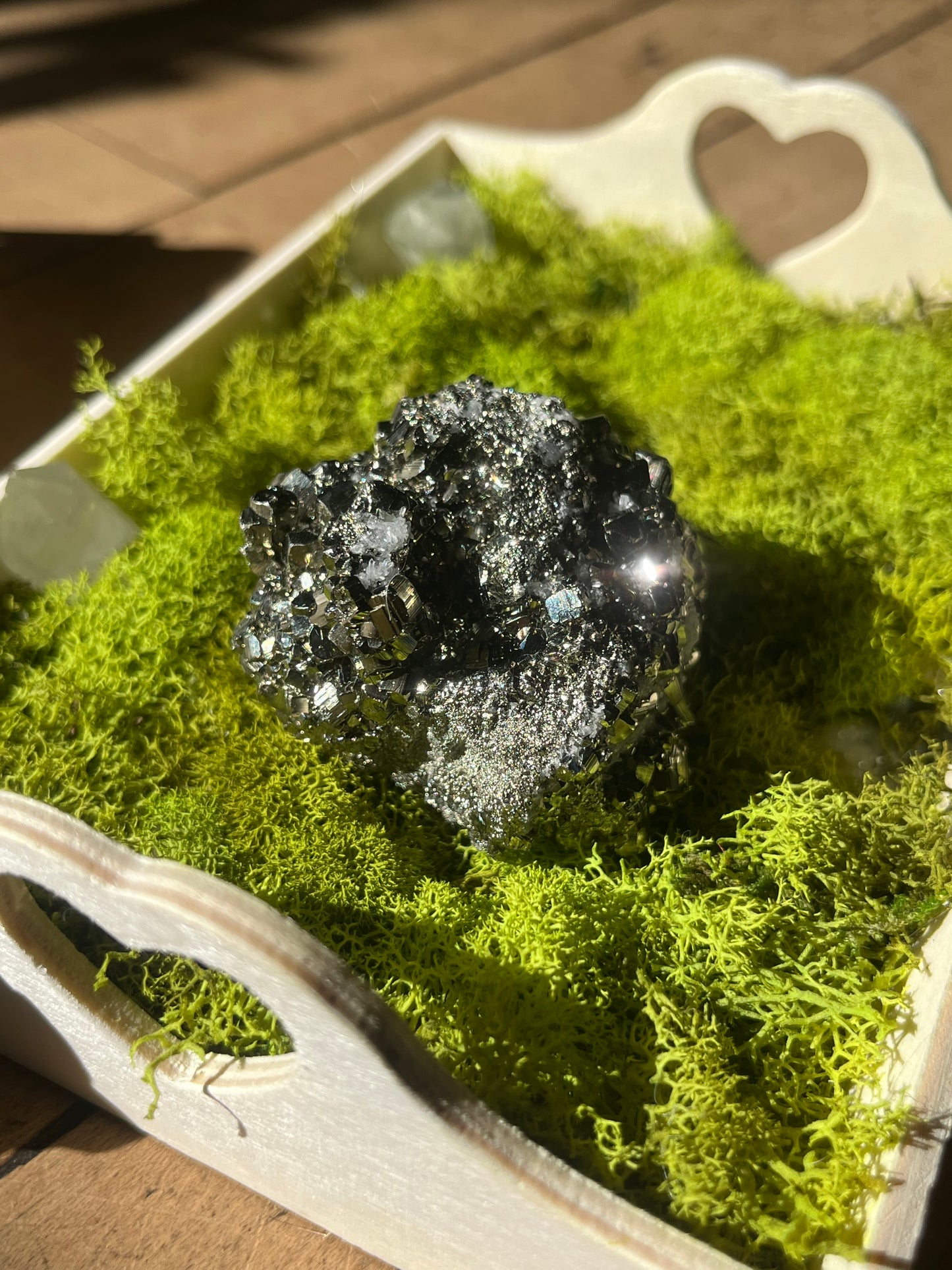 Sparkly Pyrite Puffball from Peru