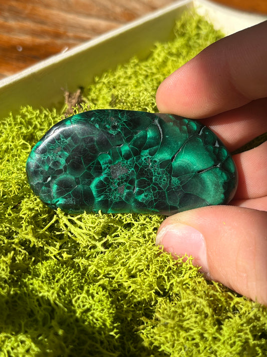 Chatoyant Malachite from DRC